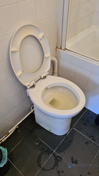  verstopping toilet Reeuwijk